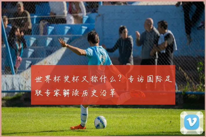 世界杯奖杯又称什么?专访国际足联专家解读历史沿革