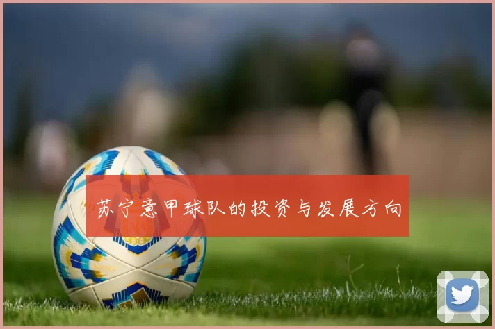苏宁意甲球队的投资与发展方向