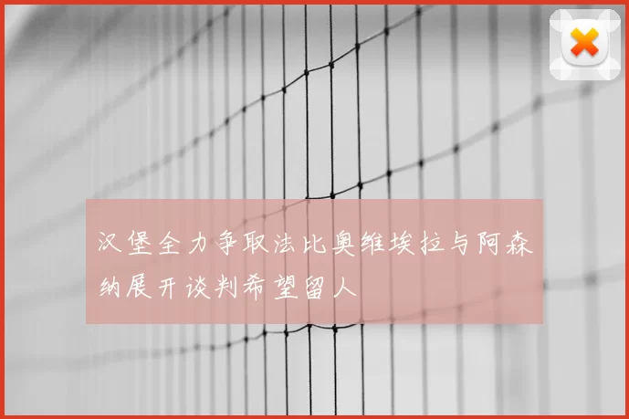 汉堡全力争取法比奥维埃拉与阿森纳展开谈判希望留人