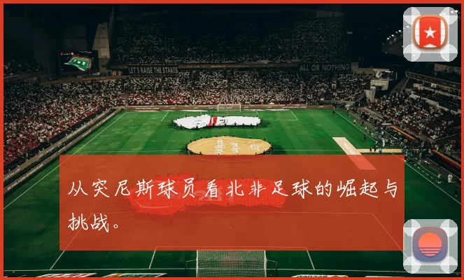 从突尼斯球员看北非足球的崛起与挑战。