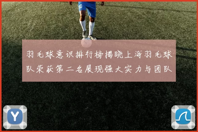 羽毛球意识排行榜揭晓上海羽毛球队荣获第二名展现强大实力与团队合作