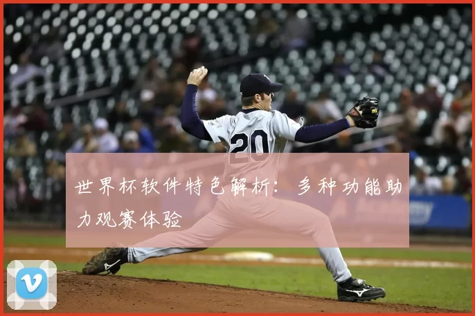 世界杯软件特色解析:多种功能助力观赛体验