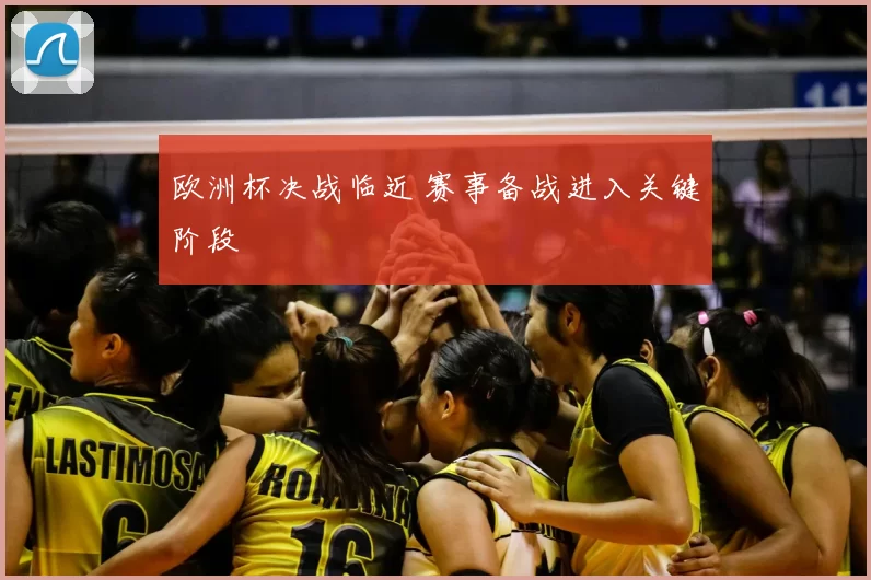 欧洲杯决战临近 赛事备战进入关键阶段