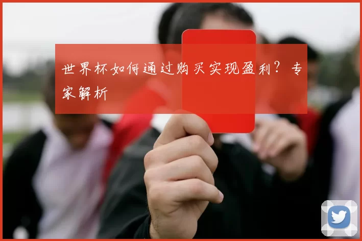 世界杯如何通过购买实现盈利？专家解析