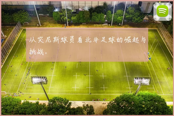 从突尼斯球员看北非足球的崛起与挑战。