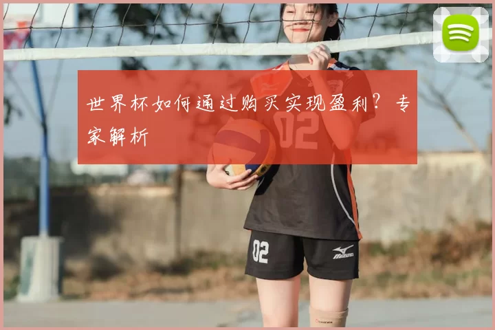 世界杯如何通过购买实现盈利？专家解析