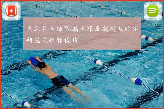 武汉乒乓球队战术深度剖析与对比研究之独特视角