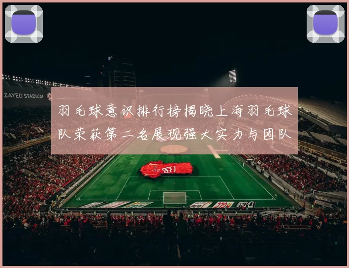 羽毛球意识排行榜揭晓上海羽毛球队荣获第二名展现强大实力与团队合作