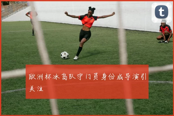 欧洲杯冰岛队守门员身份成导演引关注