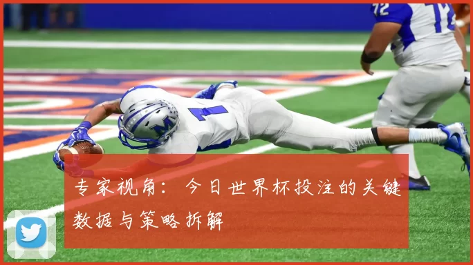 专家视角：今日世界杯投注的关键数据与策略拆解
