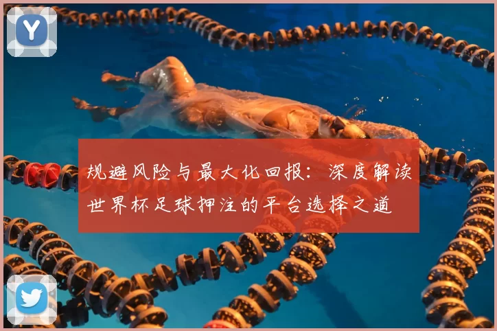 规避风险与最大化回报:深度解读世界杯足球押注的平台选择之道