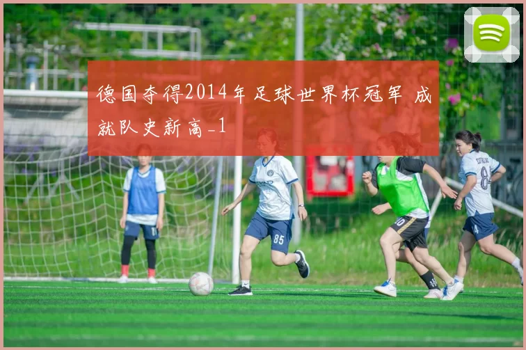 德国夺得2014年足球世界杯冠军 成就队史新高_1