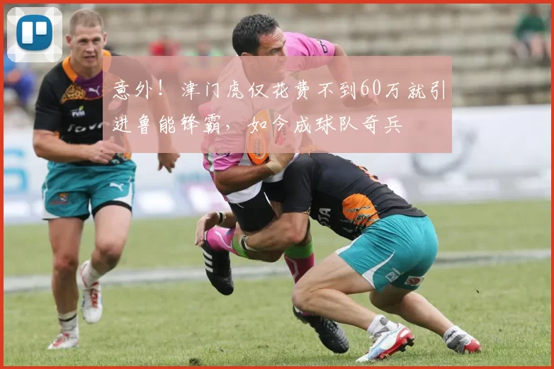 意外！津门虎仅花费不到60万就引进鲁能锋霸，如今成球队奇兵