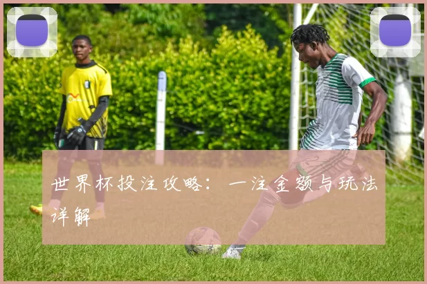 世界杯投注攻略:一注金额与玩法详解