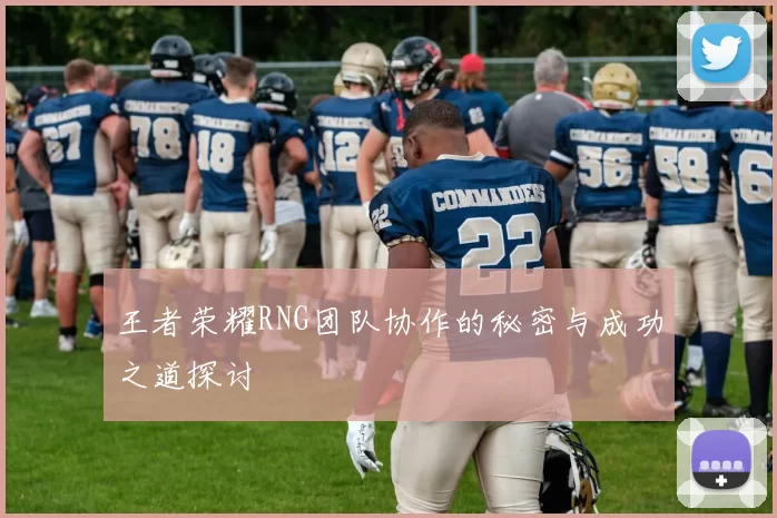 王者荣耀RNG团队协作的秘密与成功之道探讨